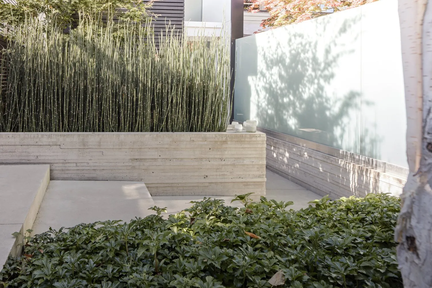 Backyard patio and concrete surfaces, Kitsilano, Vancouver